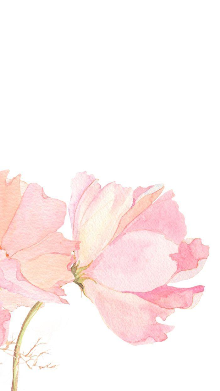 Floral Watercolor iPhone Wallpaper 700x1243