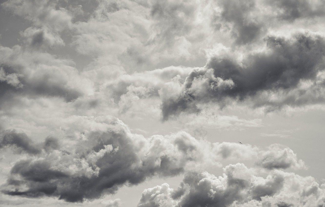 Grey and White Cloud Wallpaper 1332x850