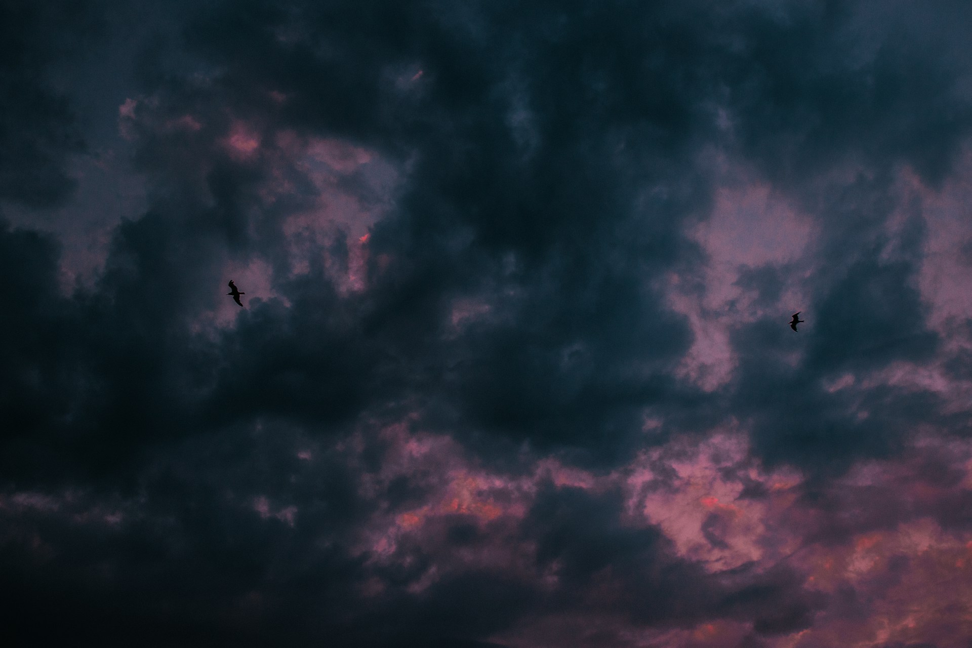 Pink and Grey Clouds Wallpaper 1920x1280