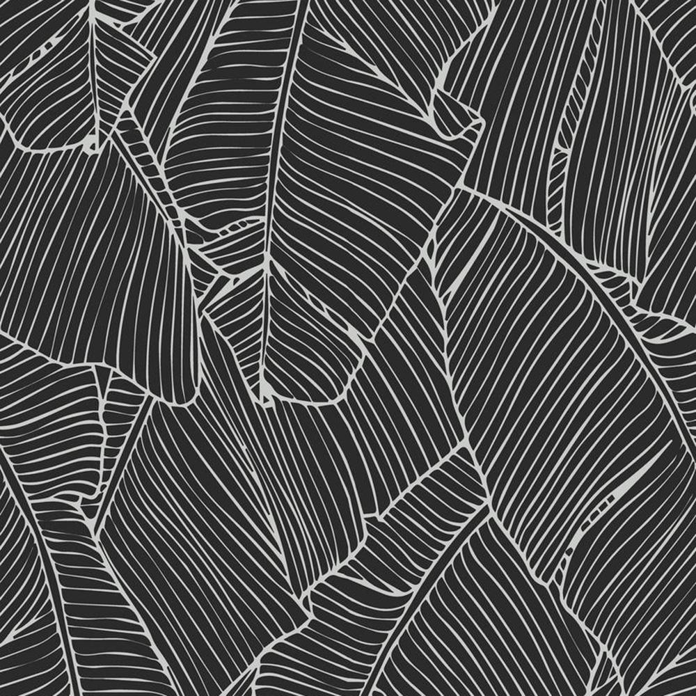 Black and white banana leaf wallpaper 1000x1000