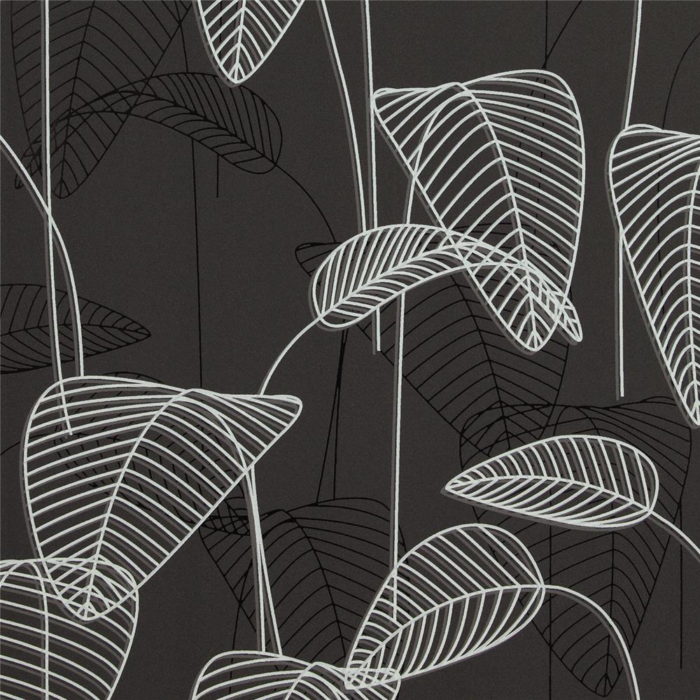 Black and white leaf wallpaper 1000x1000