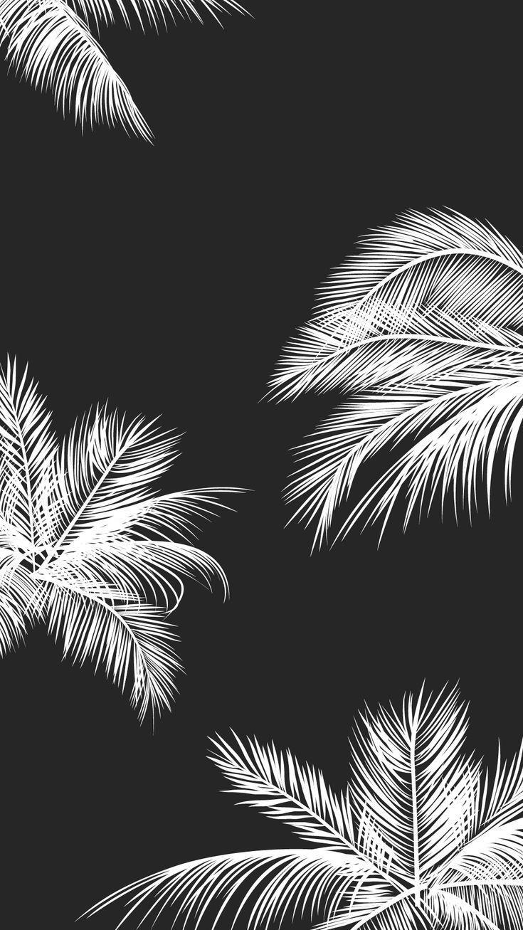 Black and white palm leaf wallpaper Android phone 735x1307