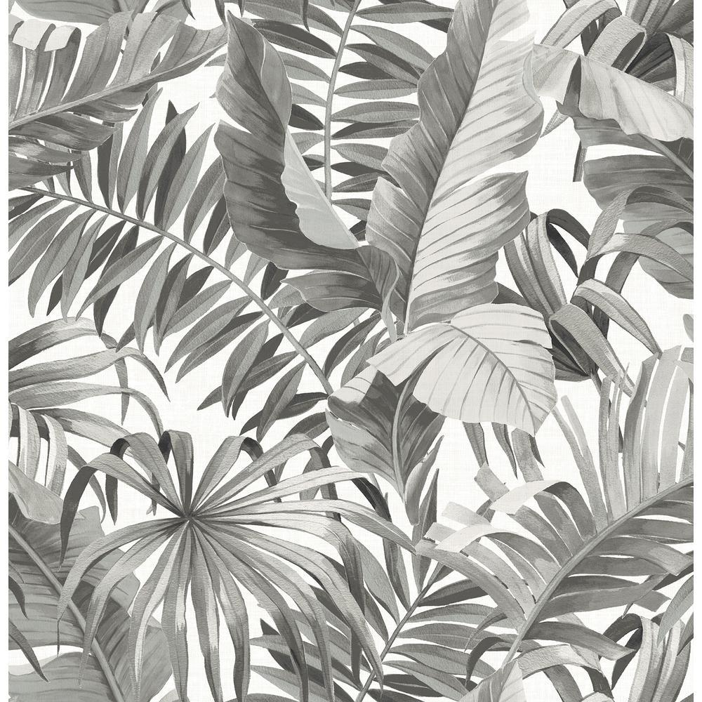 Black and white tropical leaf wallpaper 1000x1000