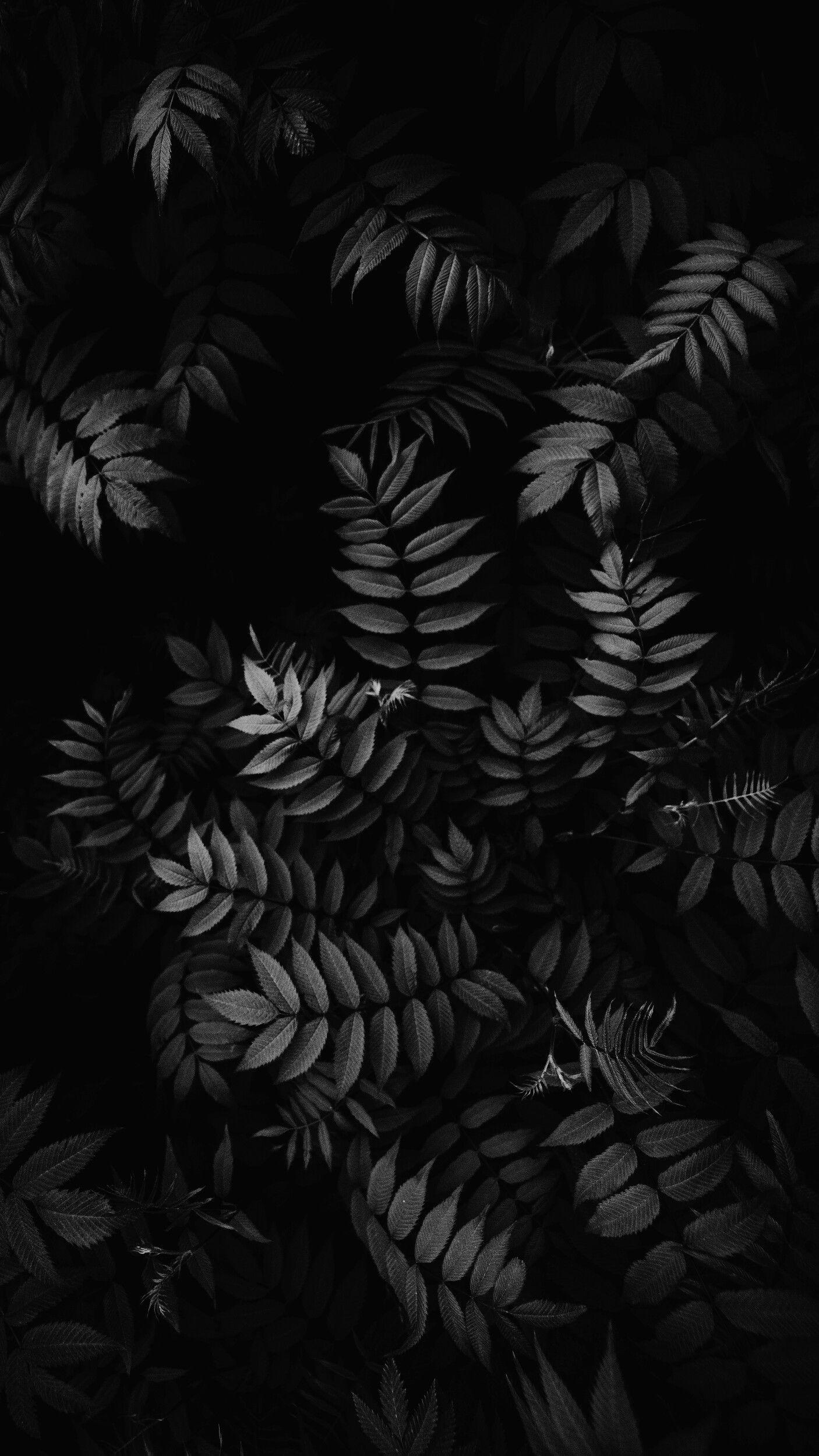 Black and white weed leaf wallpaper HD 1406x2499